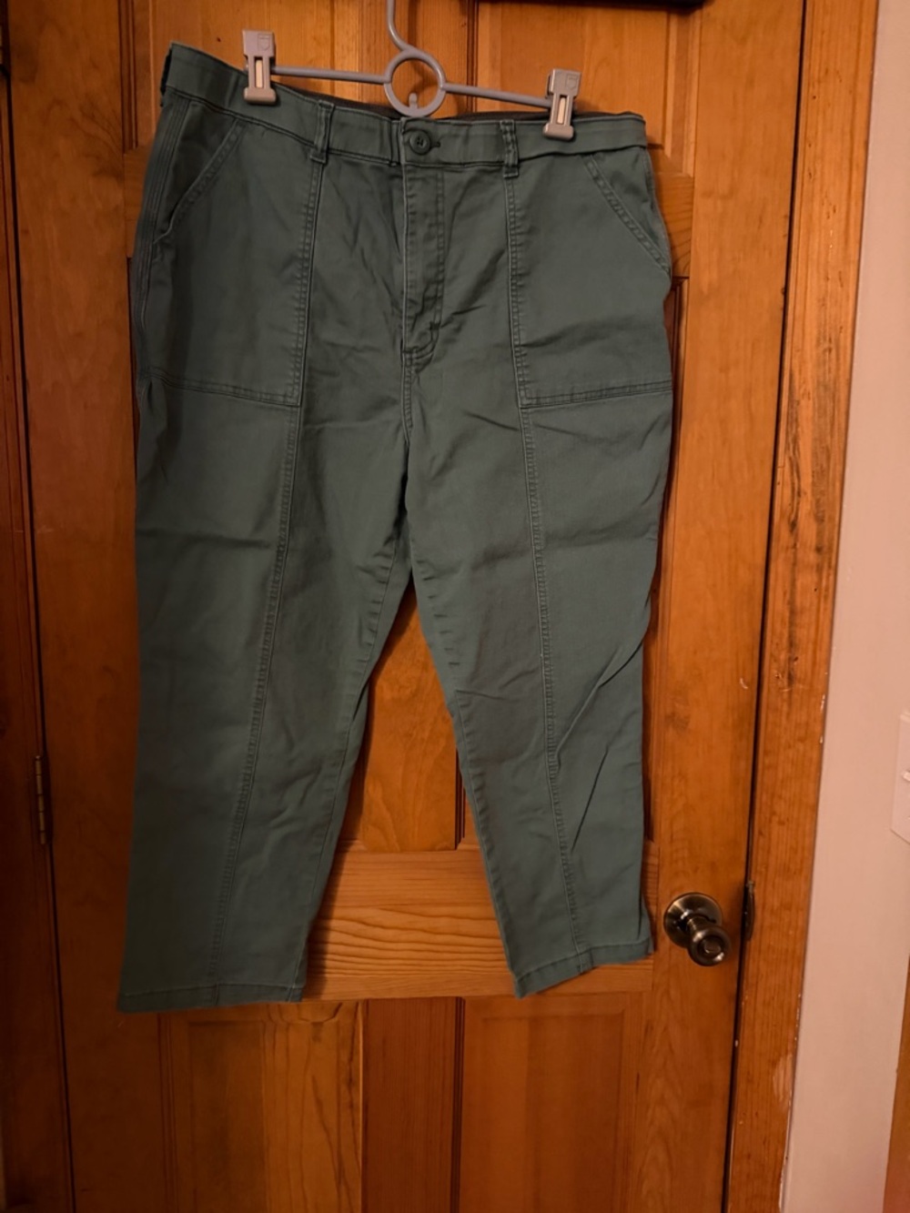 Lee Straight Leg Pants in Olive Green